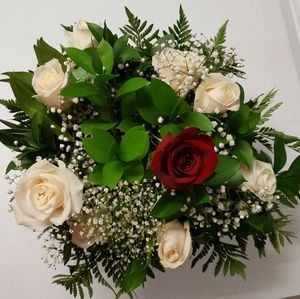 Meet your Posher, Stormy